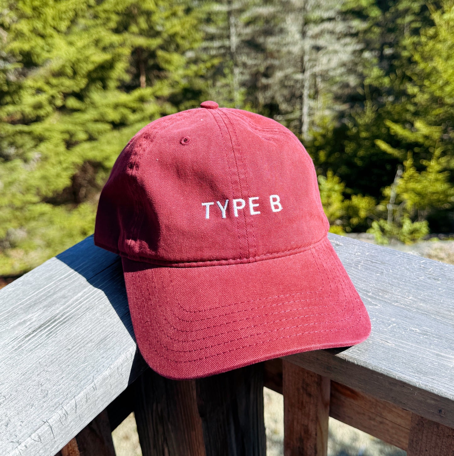 Type B | Embroidered Dad Hat